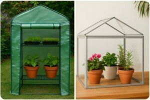 Side-by-side comparison of a portable outdoor plastic greenhouse with shelving and an indoor tabletop glass greenhouse holding potted plants