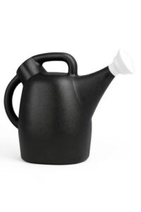 Studio-style product photo of a black 2-gallon plastic watering can with a removable white sprinkler head, shown on a clean white background.