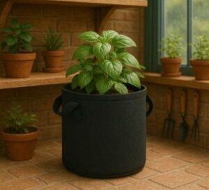 Black fabric grow bags arranged with ample spacing in a greenhouse.