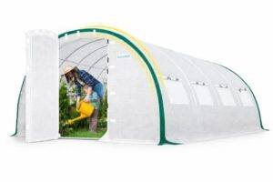 Large walk-in tunnel greenhouse with white PE cover, swing door, and multiple ventilation windows