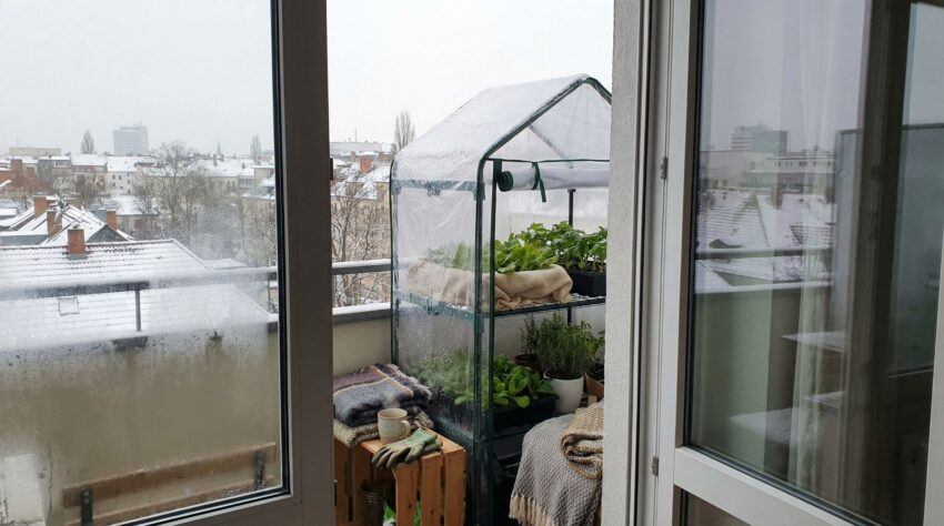Balcony greenhouse setup protecting plants during winter on an apartment balcony