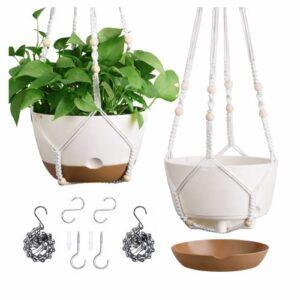Self-watering hanging planters for indoor and apartment balcony gardening