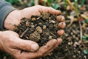 Different garden soil textures with organic matter