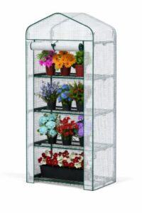 4-tier mini greenhouse with green frame and clear PE cover holding potted plants on shelves